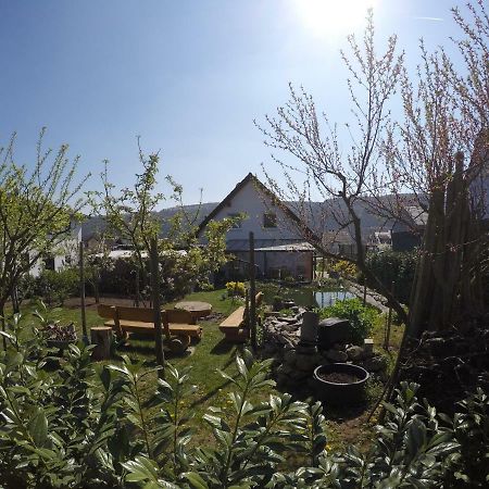 Moselie Ferienwohnung Kinheim Mosel المظهر الخارجي الصورة