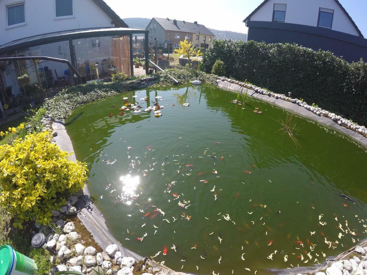 Moselie Ferienwohnung Kinheim Mosel المظهر الخارجي الصورة